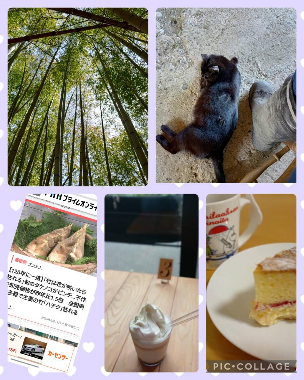 毎日せっせと
