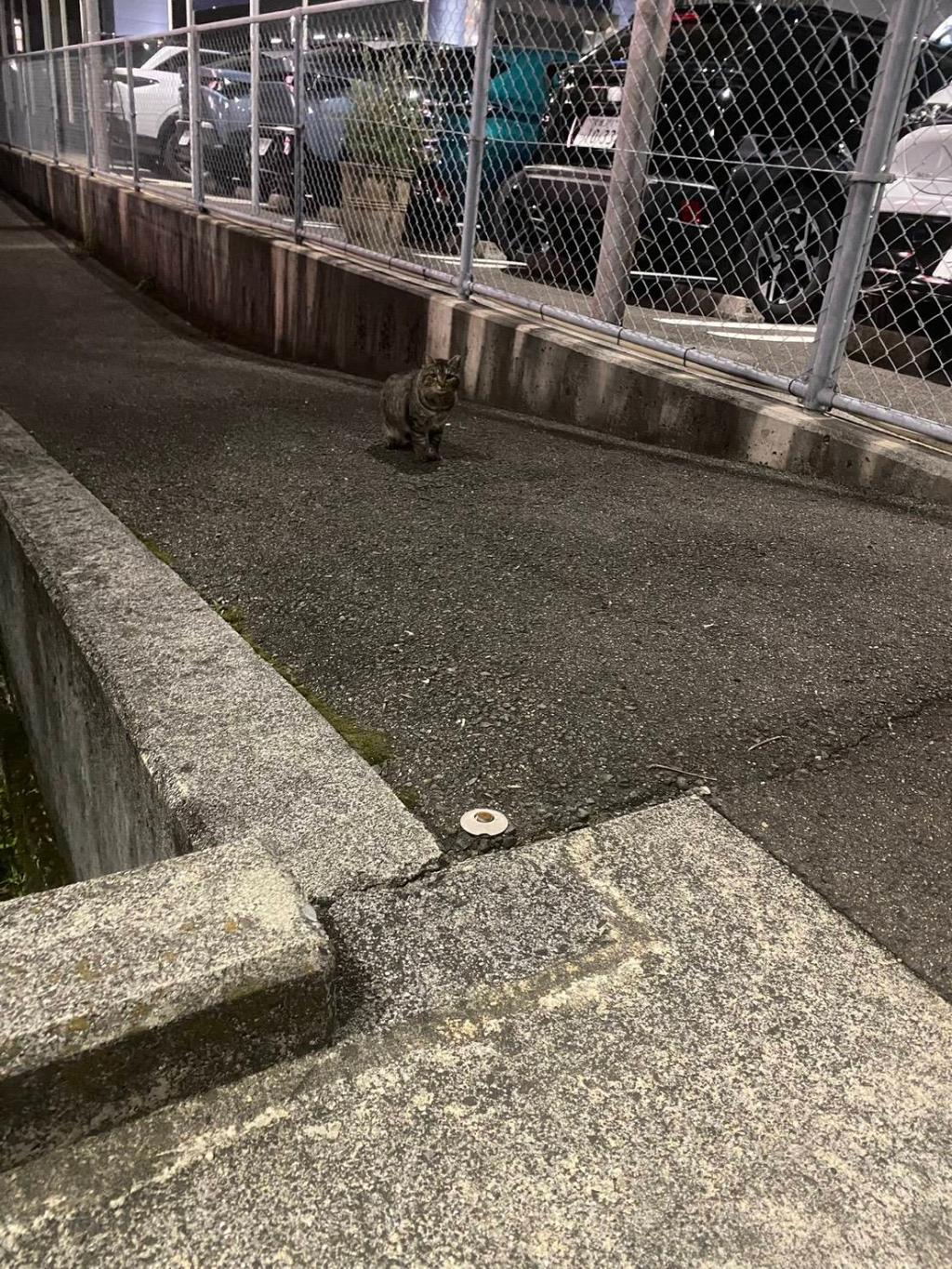 久しぶりの