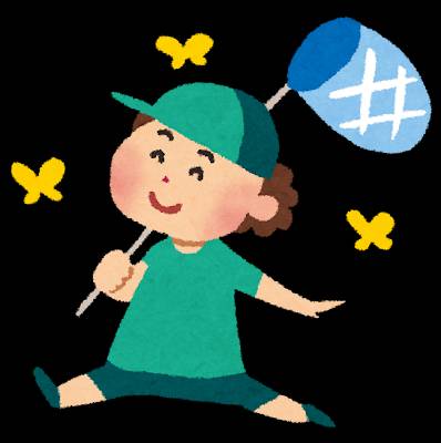 夏ですね