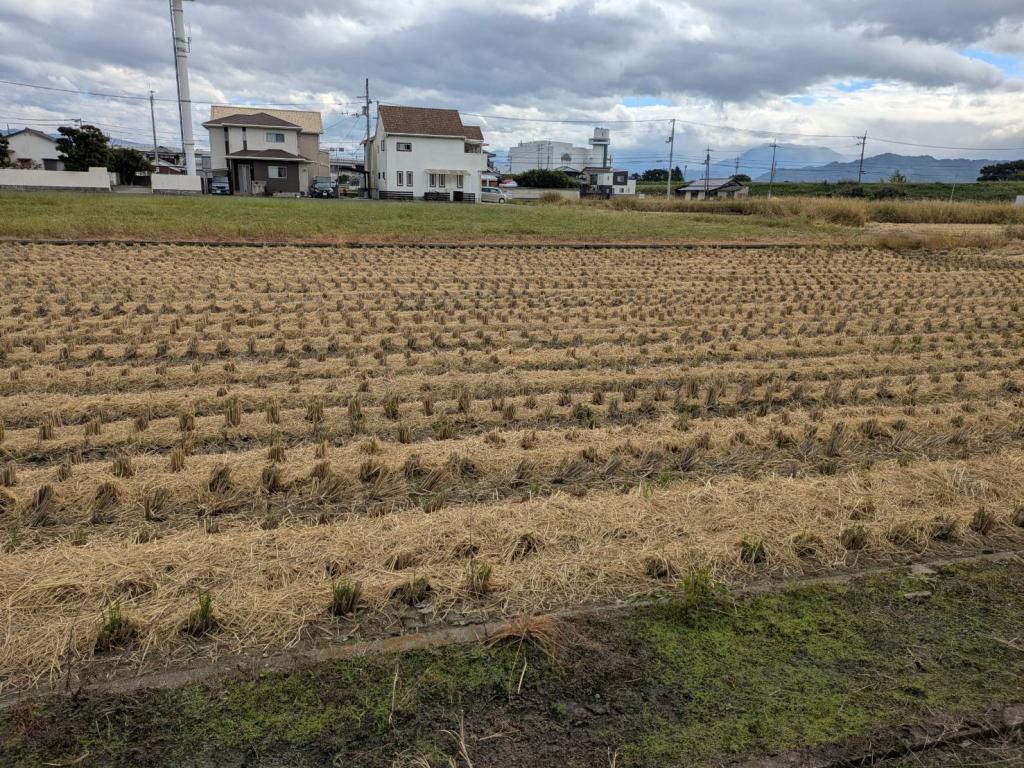 秋はいいですね🍁